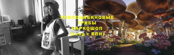 ПСИЛОЦИБИНОВЫЕ ГРИБЫ Армянск