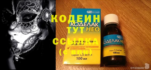 прущие грибы Рославль