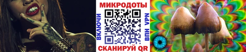 кракен онион  Полысаево  Псилоцибиновые грибы Magic Shrooms 